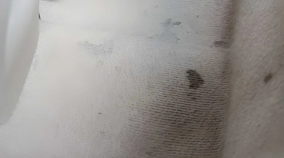 Close-up of a worn carpet edge with visible dirt marks and texture details.