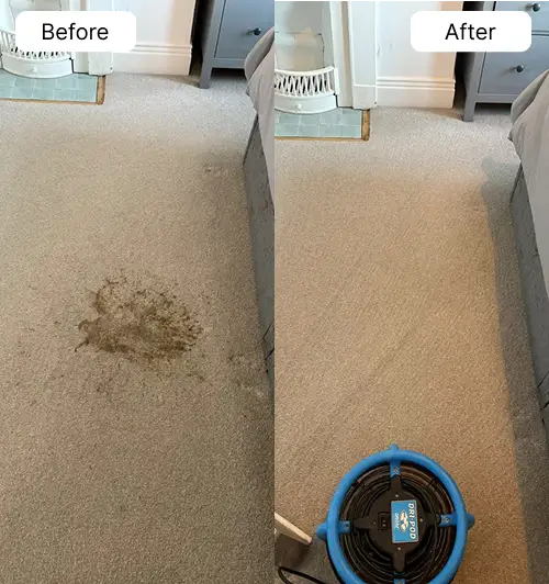 Side-by-side carpet cleaning before and after showing a large stain removed with drying equipment present.