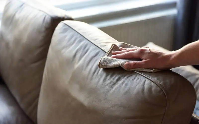 professional leather furniture deep cleaning and conditioning