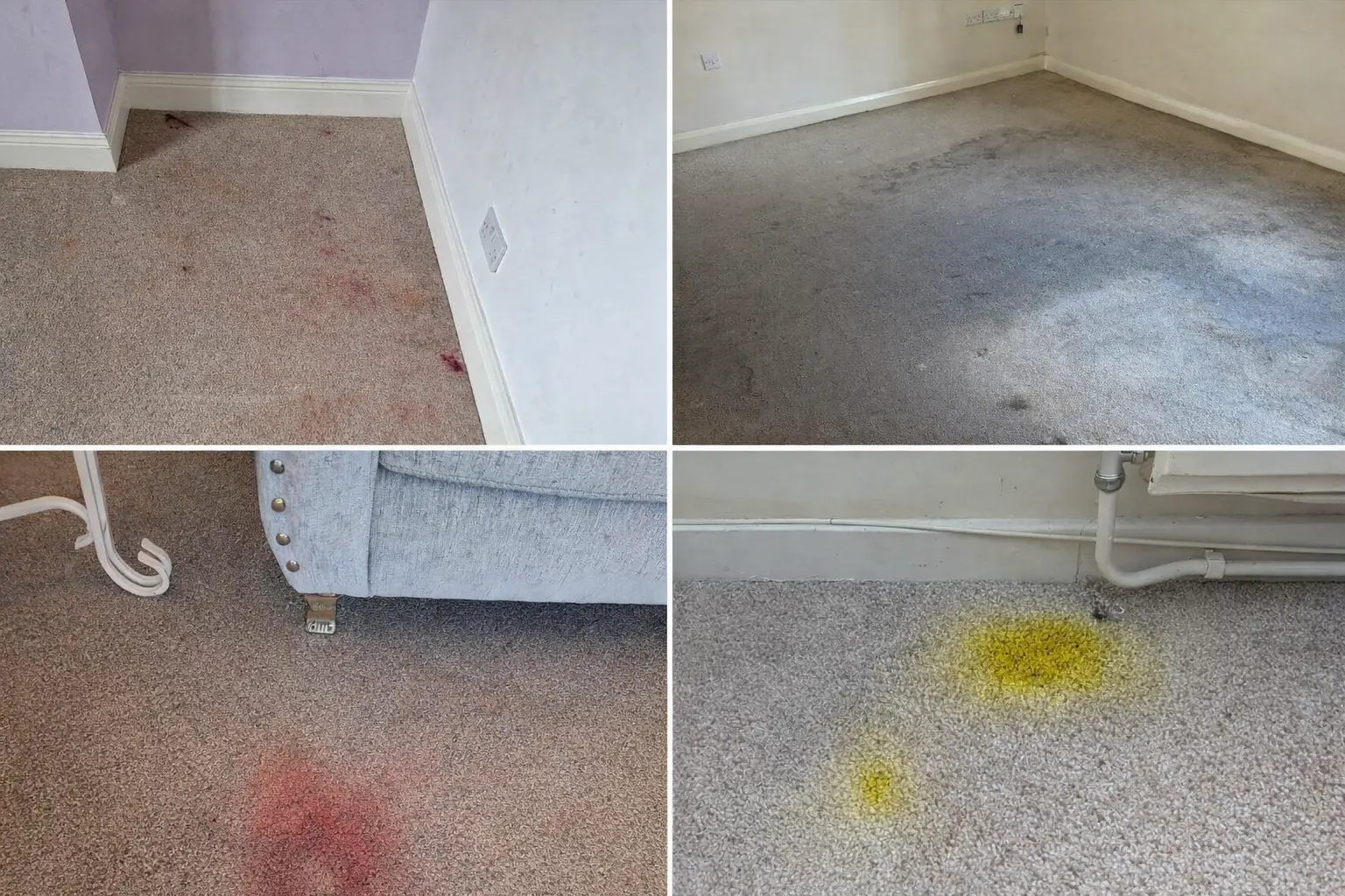 Signs its time for carpet cleaning