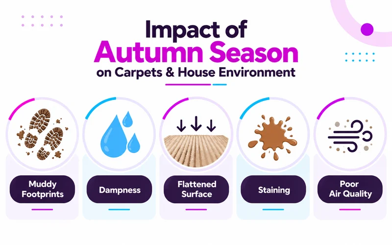Infographic image on Impact of Autumn Season on Carpets