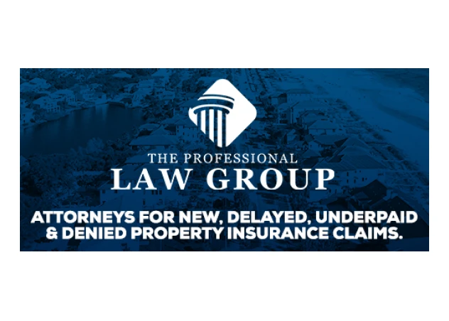 The Professional Law Group