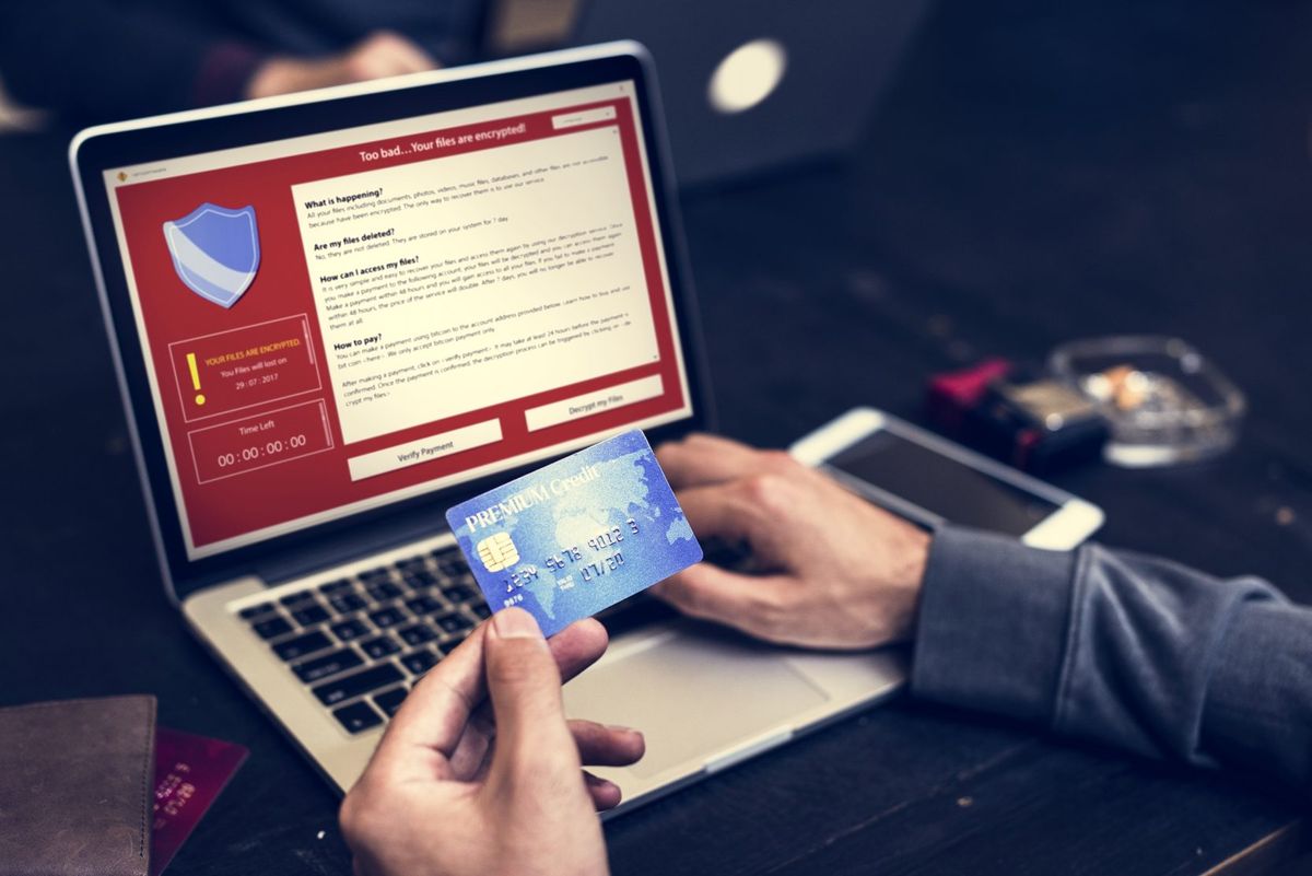 Improving Risk Management and Fraud Detection