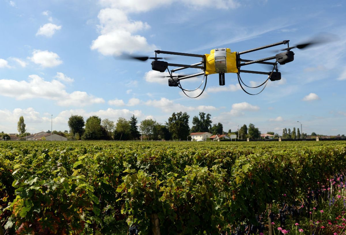 AI in Agriculture: Optimizing Farm Management and Customer Support