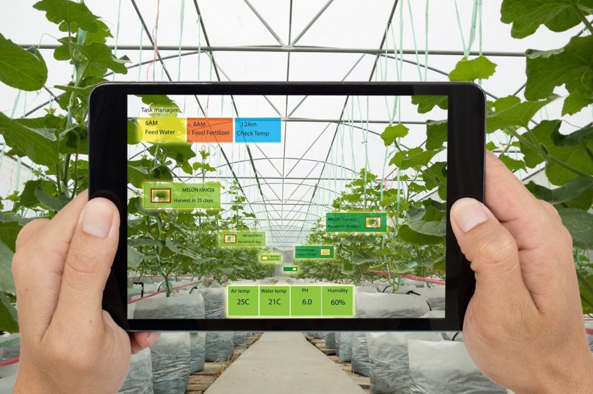 AI Integration in Farm Management Platforms