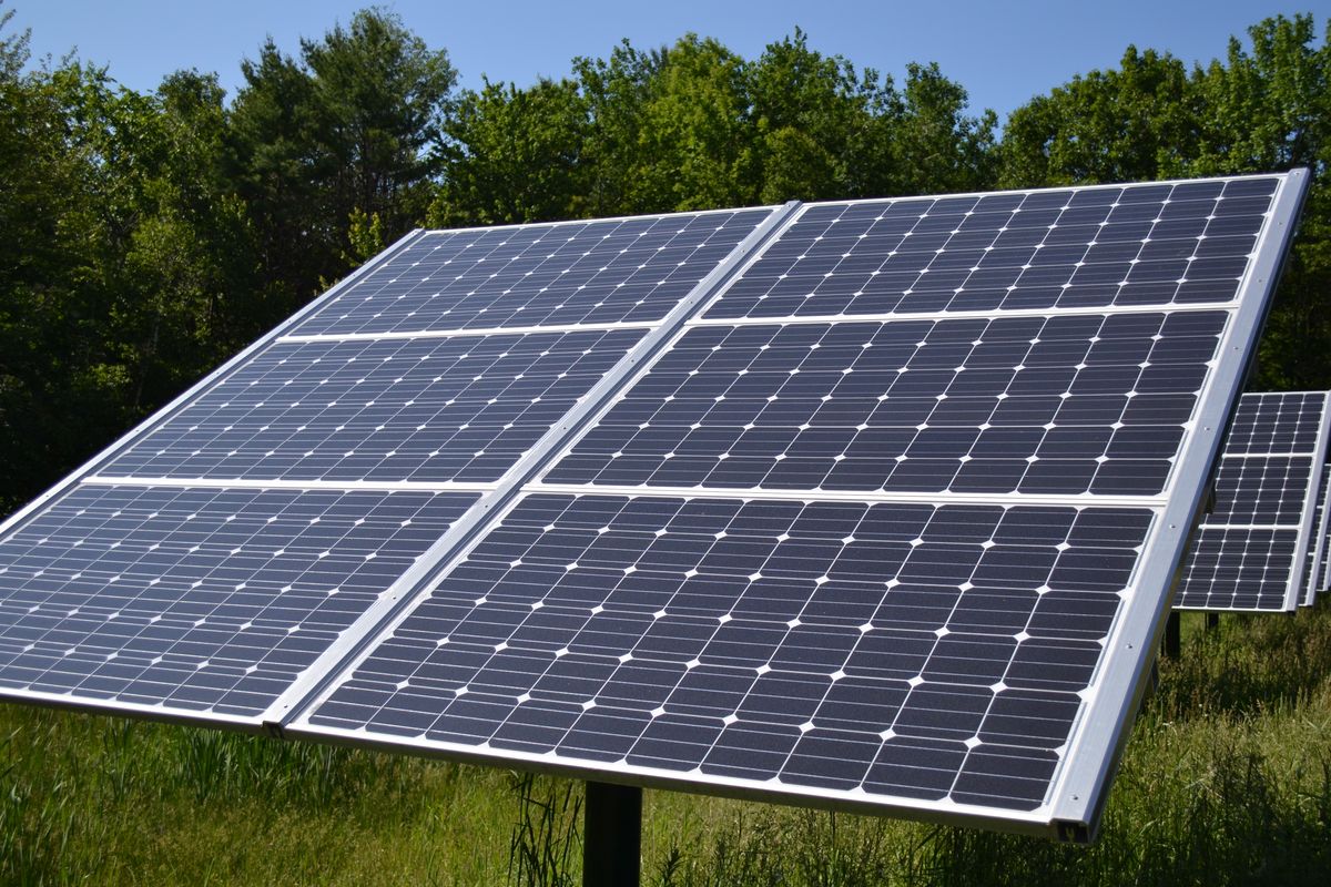 AI and the Environment: Supporting the Net Zero Journey