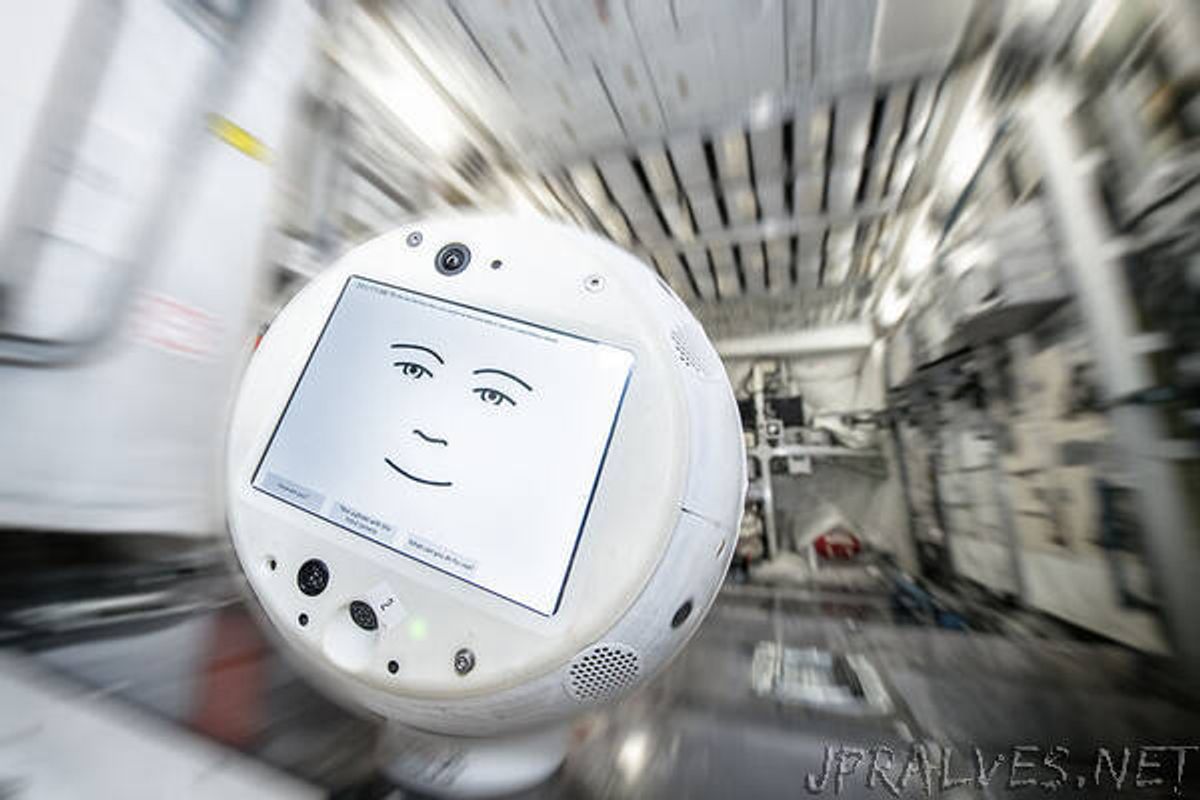 The Human-AI Partnership in Customer Support