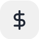 dollar icon