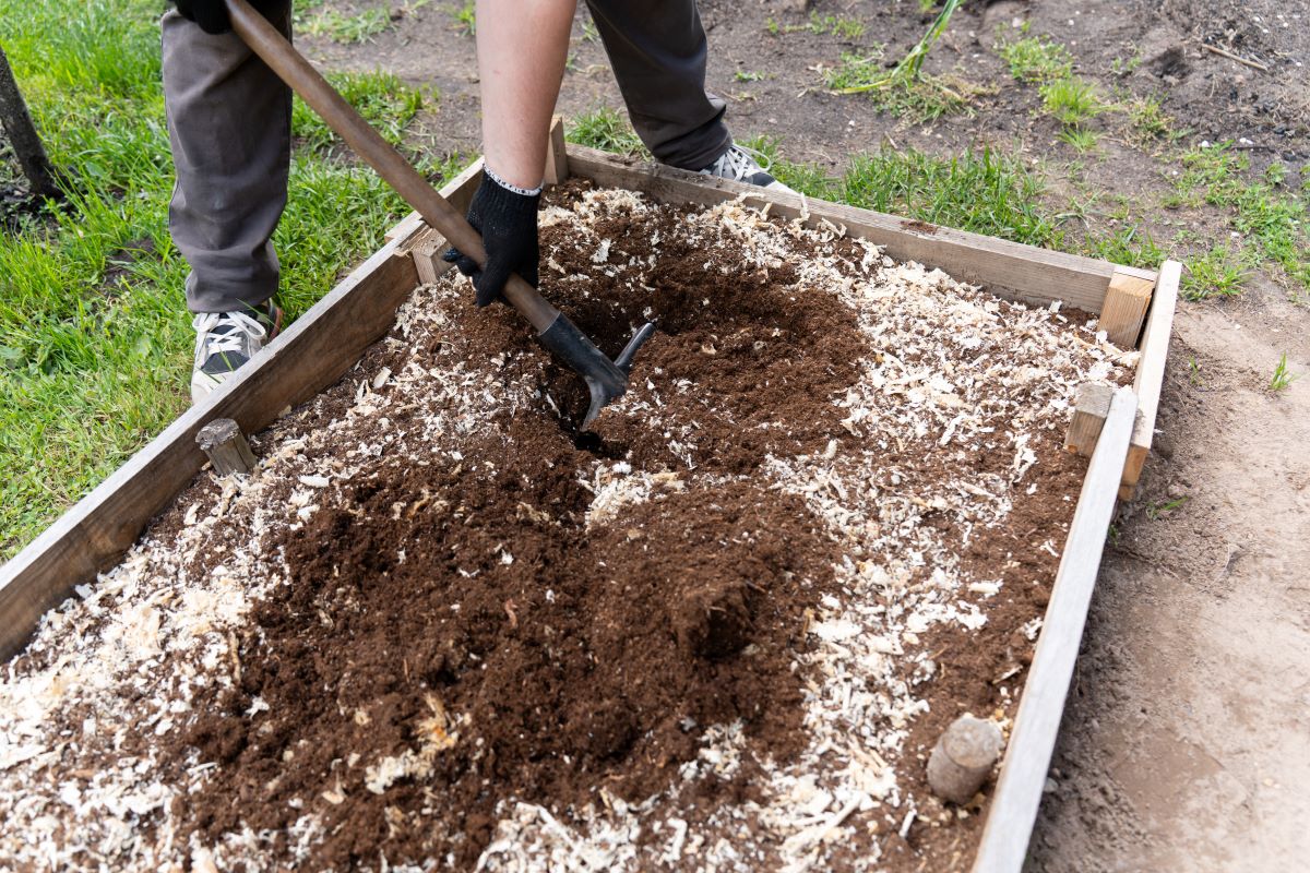 Project Single Image