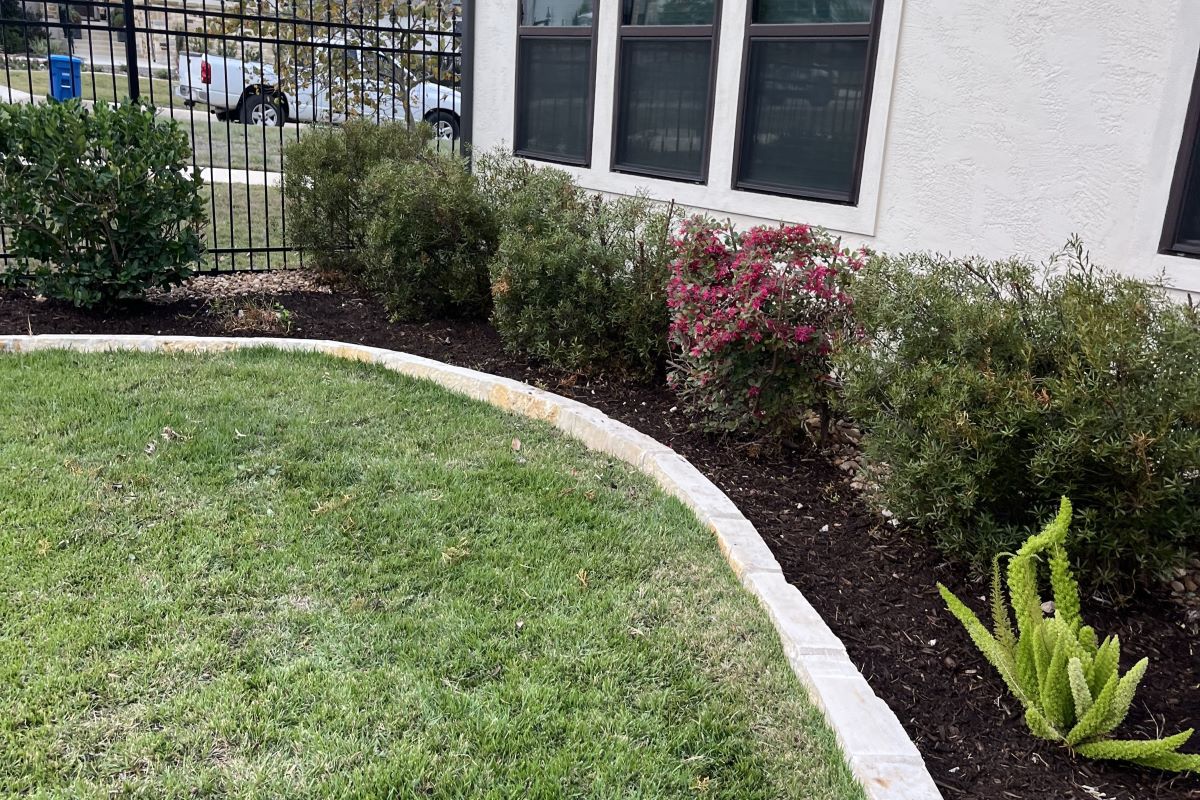 Project Single Image