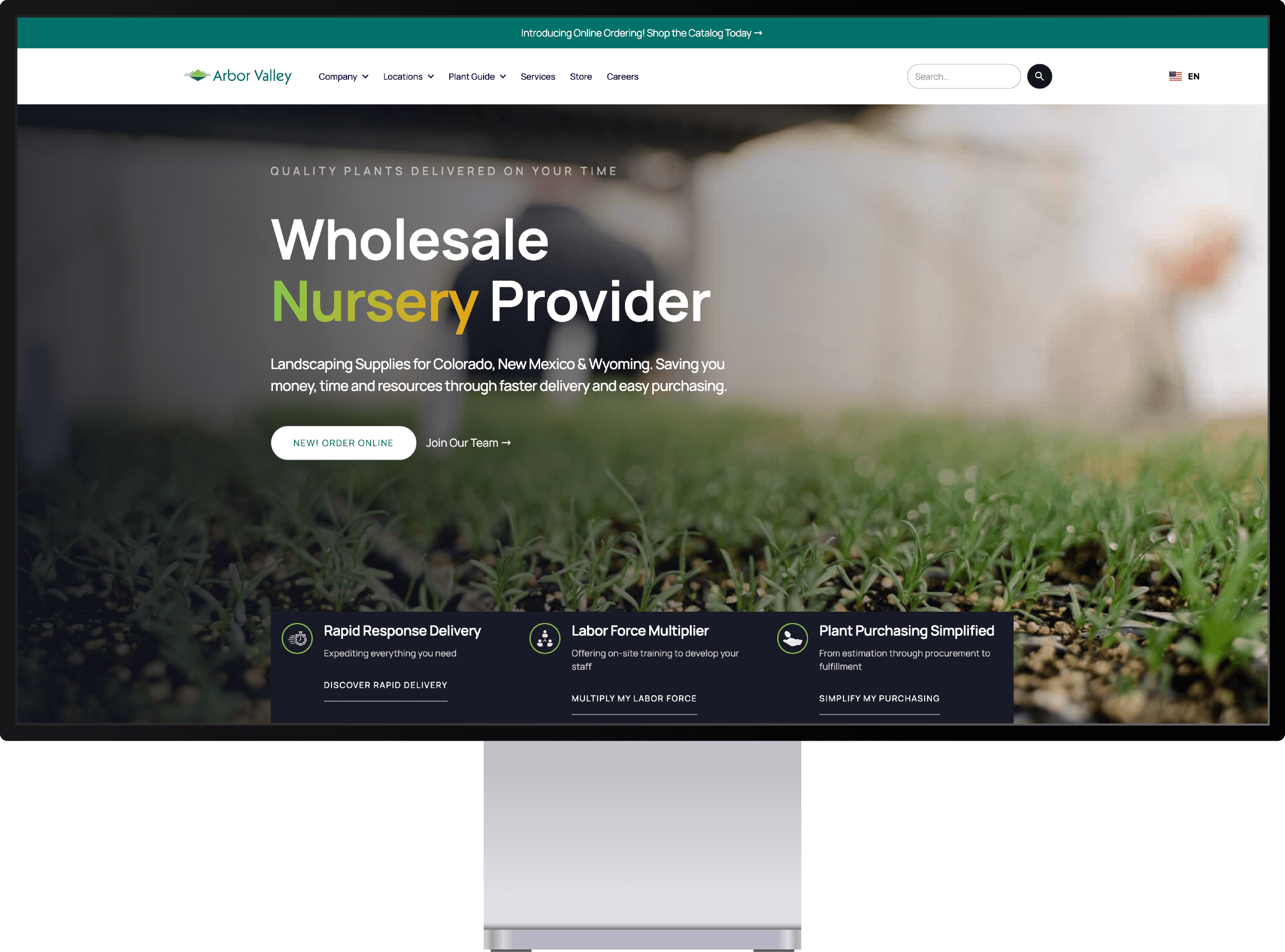 Homepage hero section of AVN's website on a destop