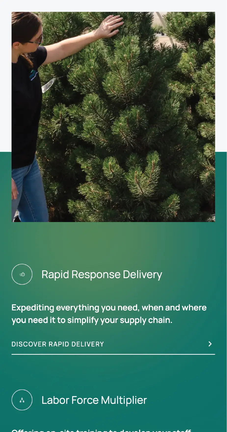 Mobile screenshot of AVN's key benefits