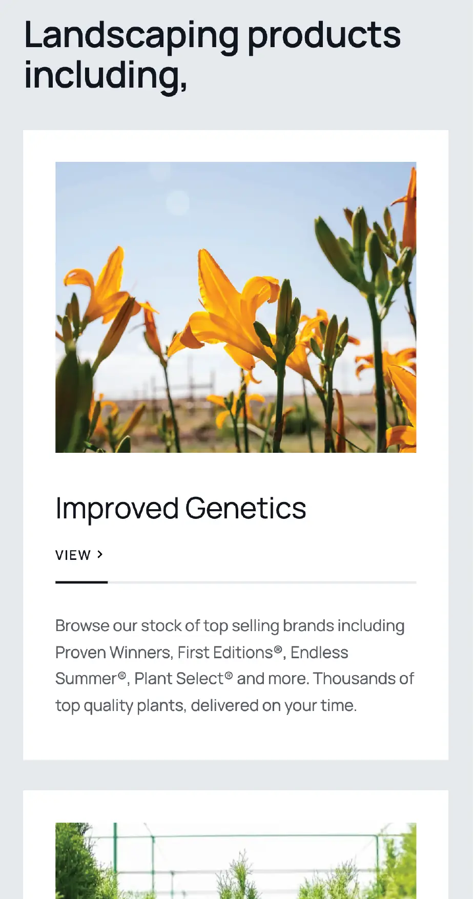 List of AVN's on their site