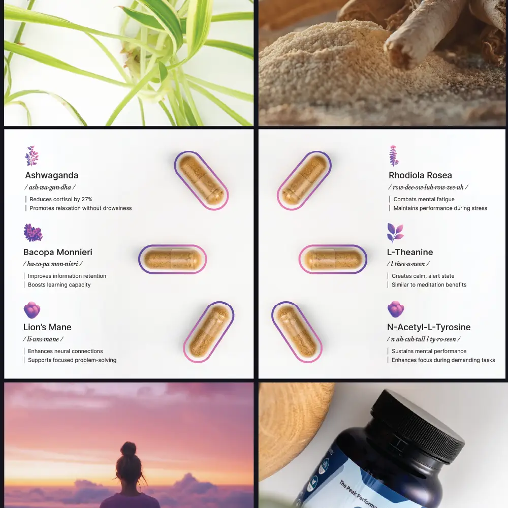 Product information card designs