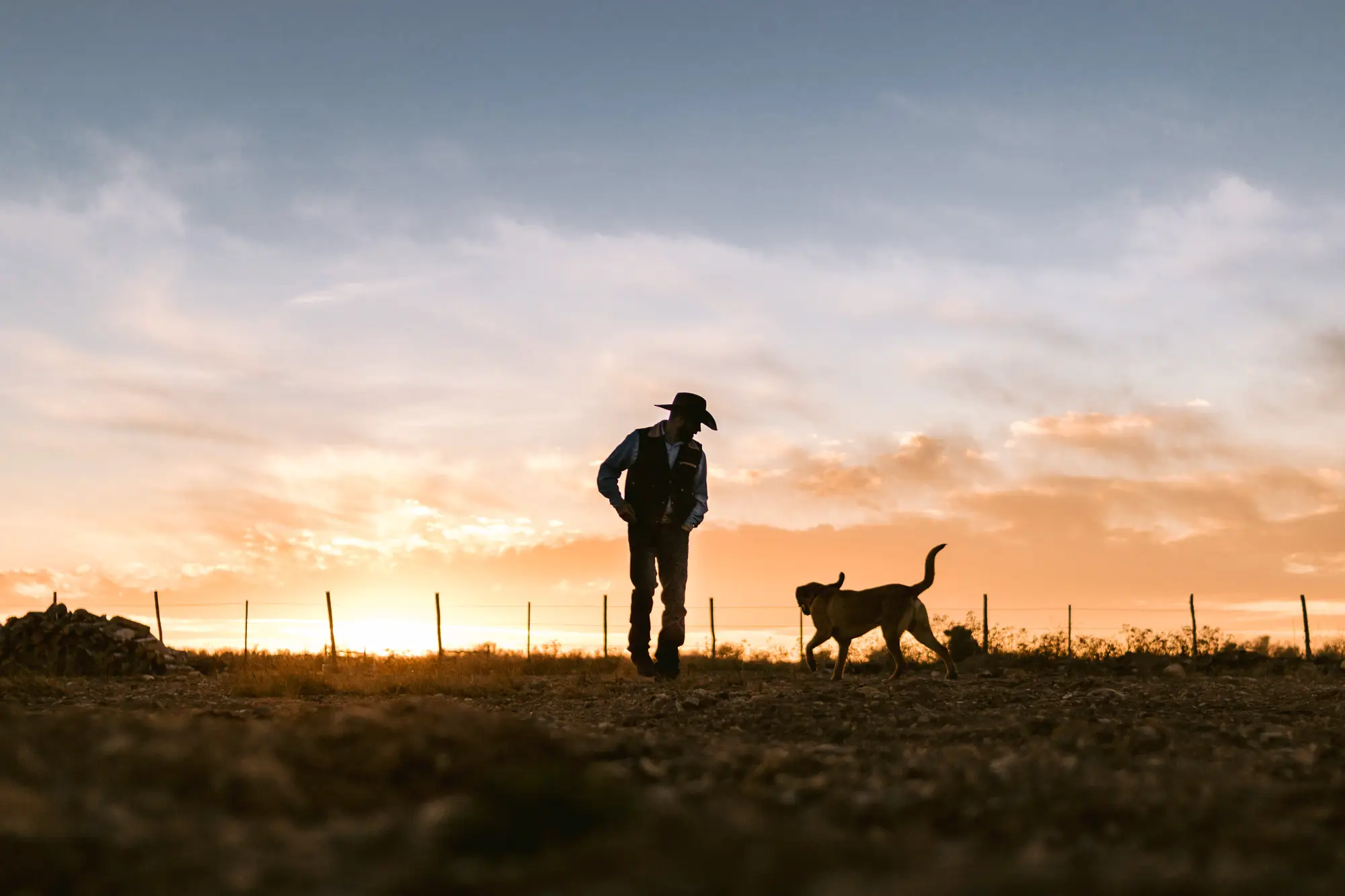 Man and dog in grass field during sunset