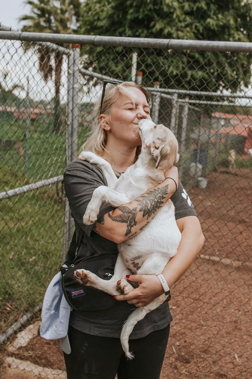 SPR team member cuddling a puppy