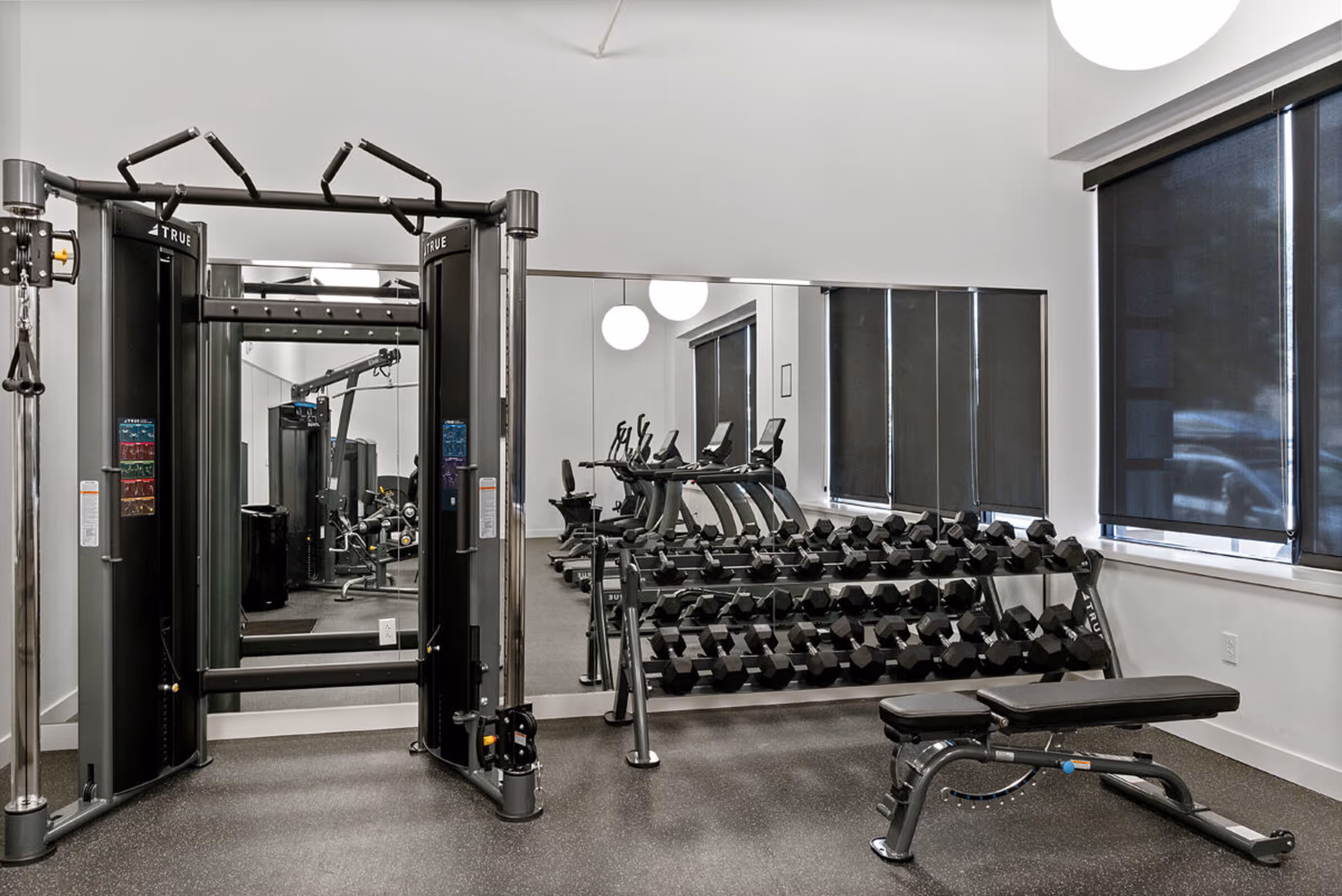 gym with free weights