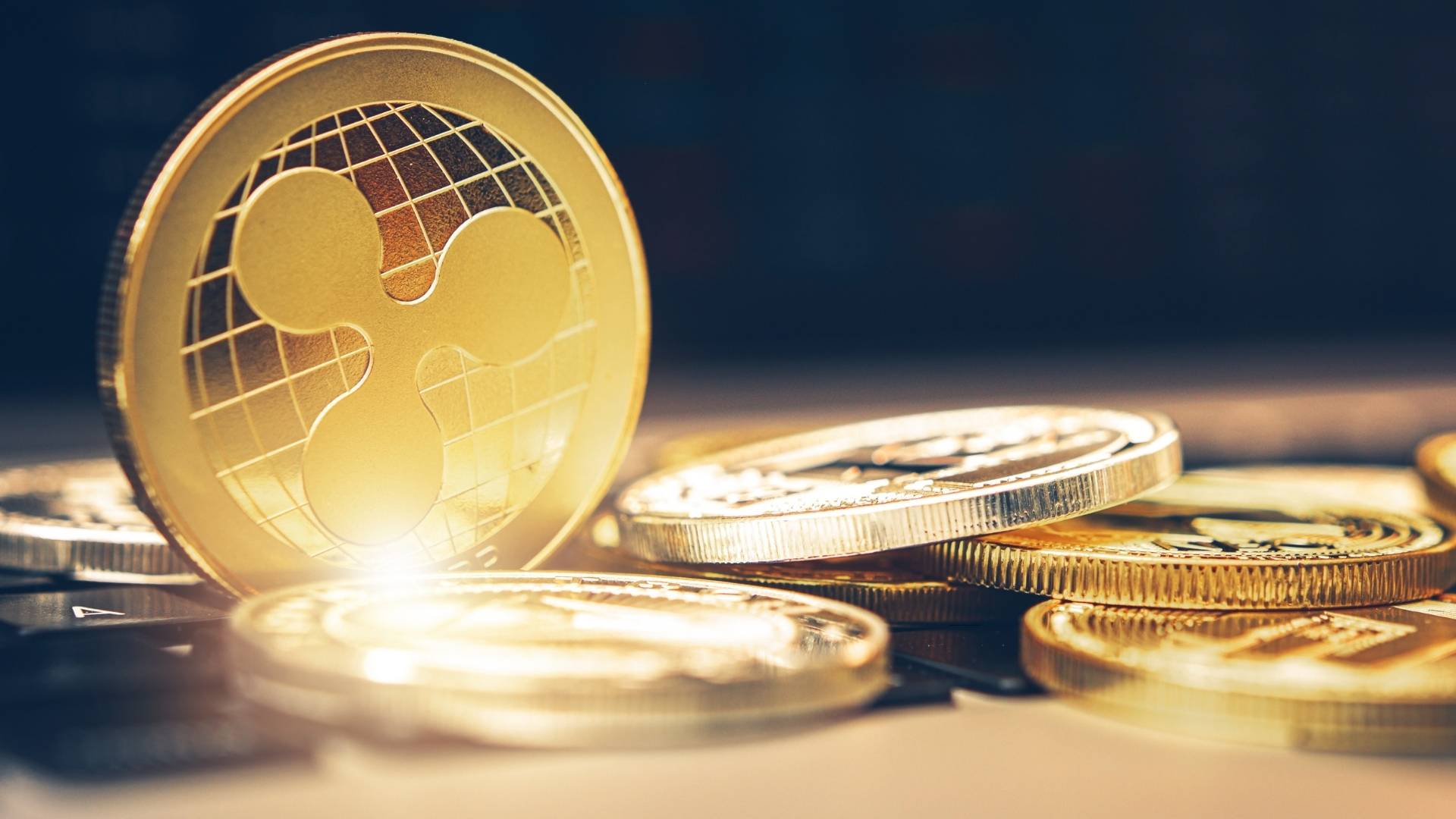 Zoniqx RWA Tokenization Platform   Zoniqx Asset Tokenization Platform   Zoniqx Asset Tokenization Solutions