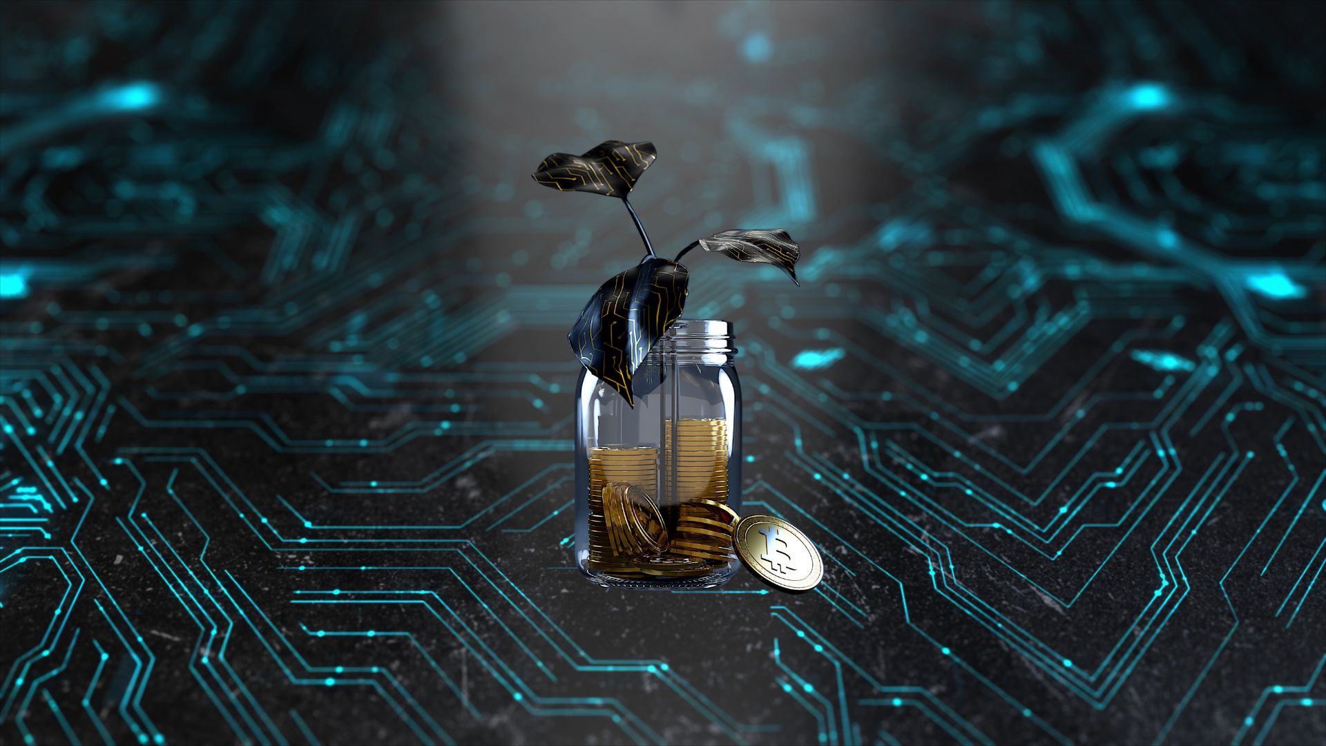 Zoniqx RWA Tokenization Platform   Zoniqx Asset Tokenization Platform   Zoniqx Asset Tokenization Solutions