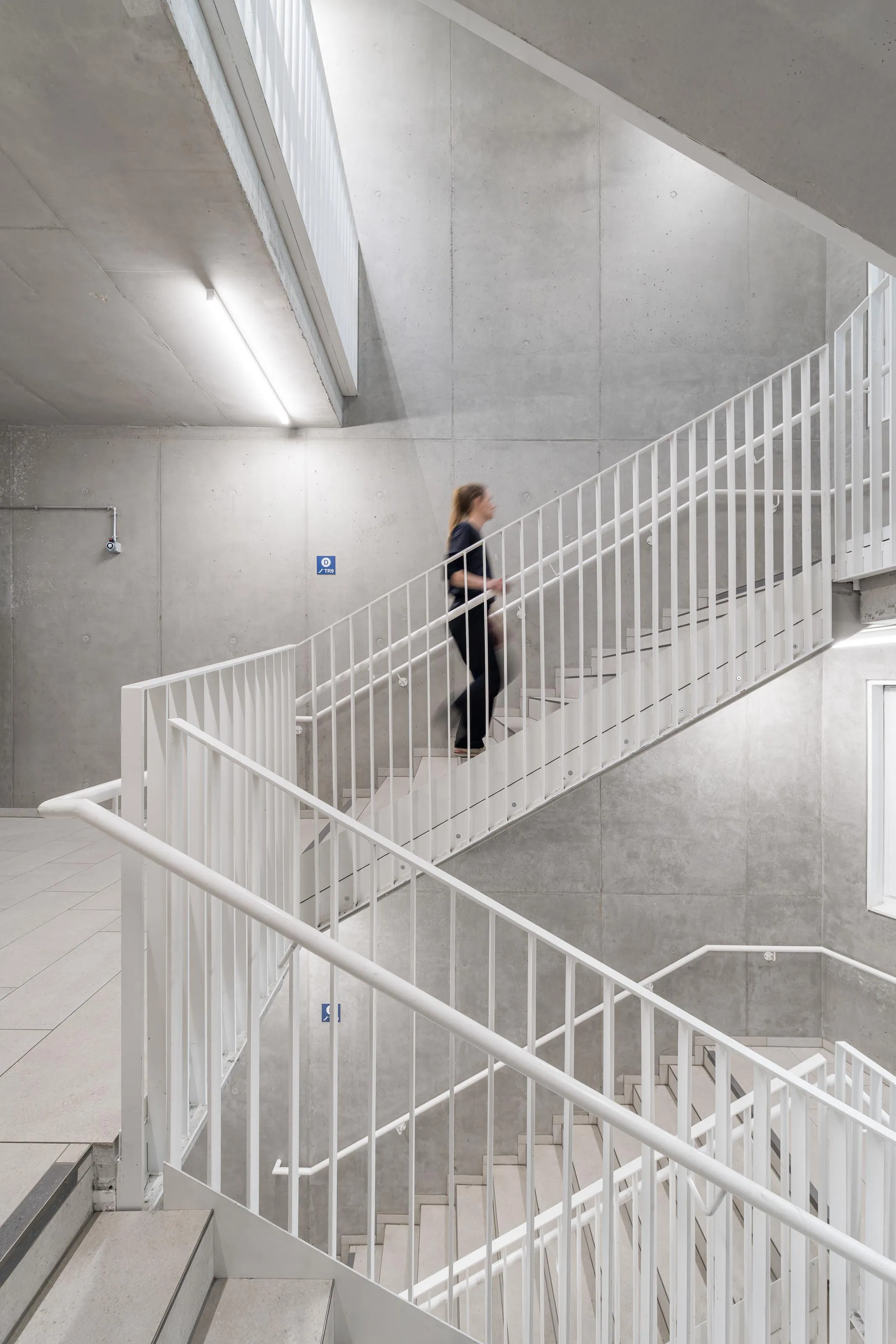 Arnold-Freymuth-Schule in Hamm für Schmidt Ploecker Architekten, Innenaufnahme Treppenhaus