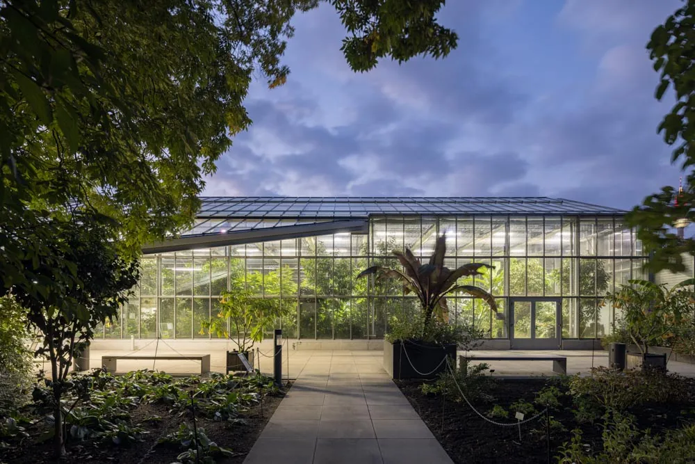 Abendaufnahme Palmengarten Frankfurt Blüten- und Schmetterlingshaus