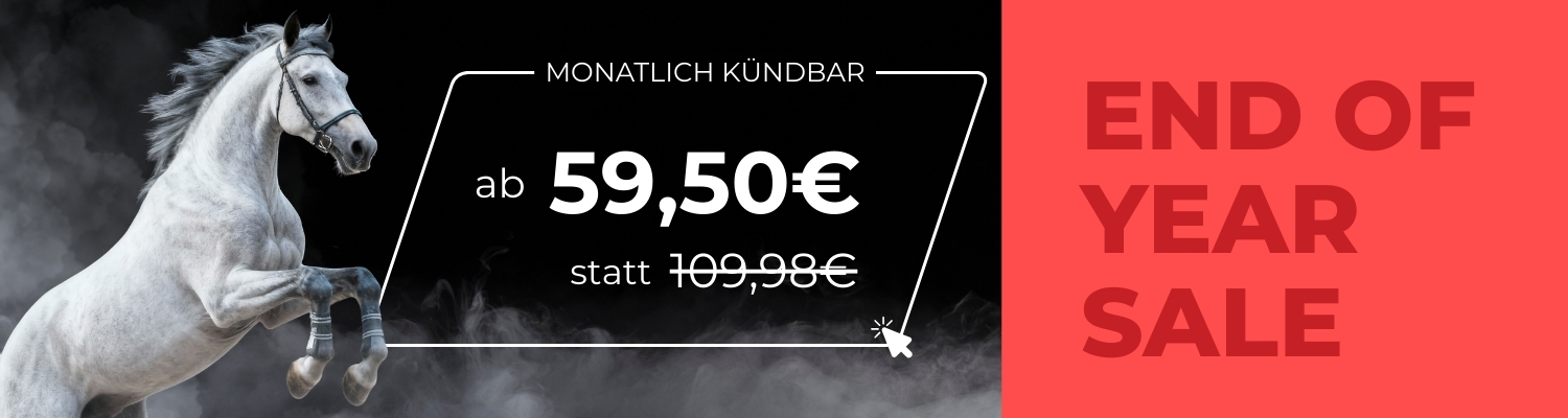 Auf der linken Seite sieht man ein Pferd, es ist eine Grafik für den end of year sale, man bekommt das Premium Abo zum Vorteilspreis.