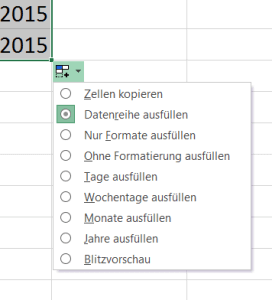 ausfuelloptionen