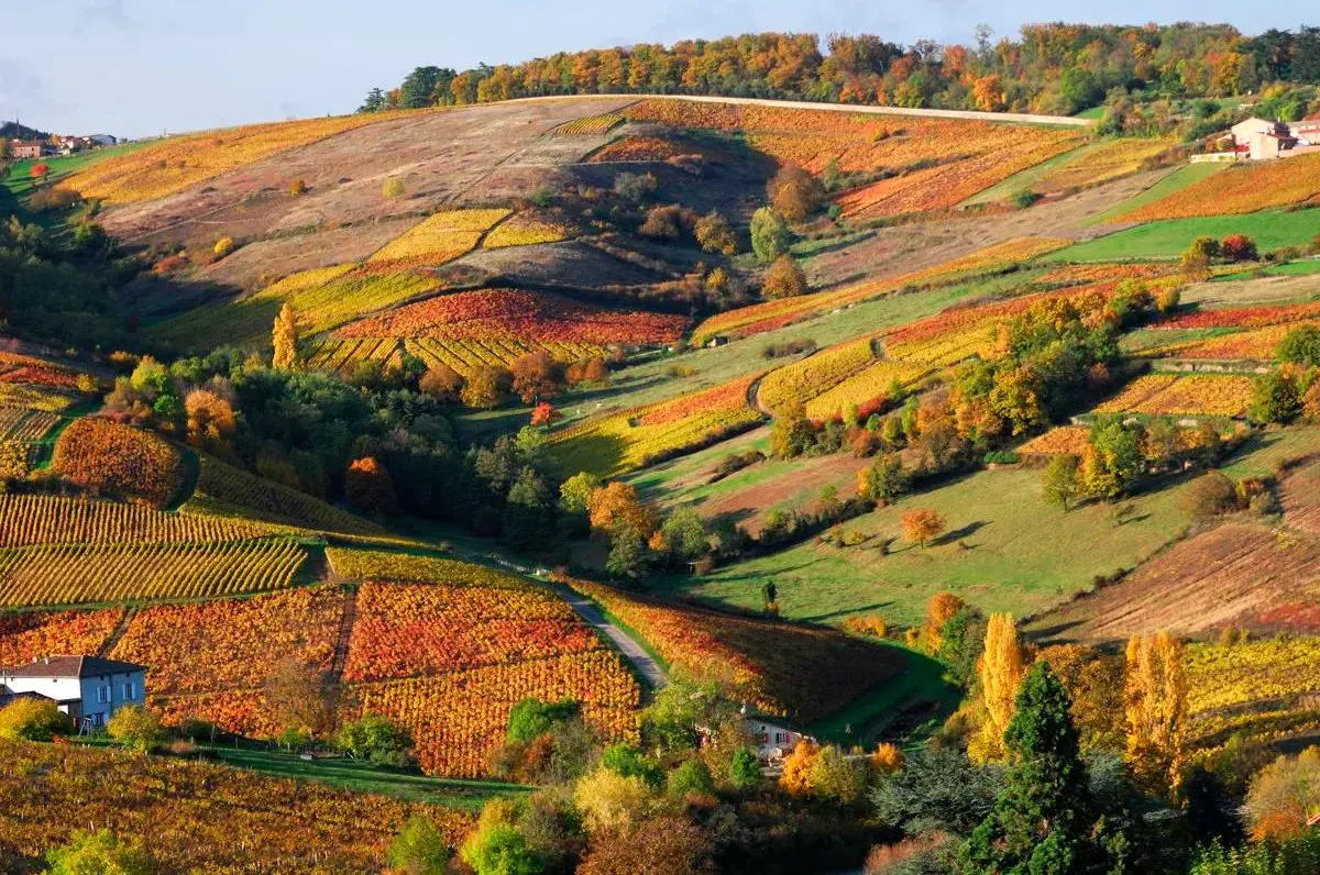 Séminaire d'entreprise nature dans le Beaujolais 