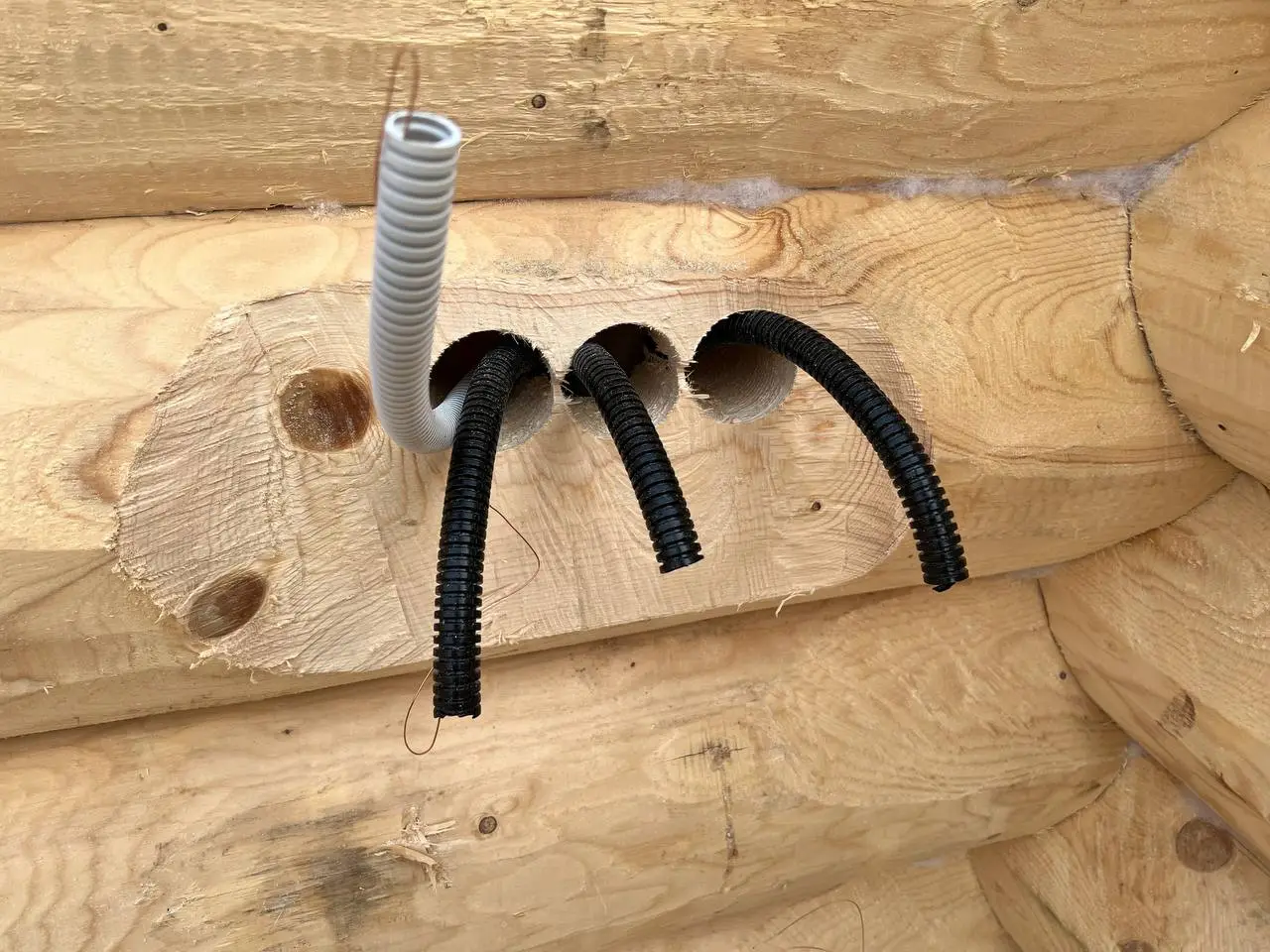 Zbliżenie na przewody elektryczne poprowadzone wewnątrz bali drewnianych. Precyzyjnie wywiercone otwory i peszle pokazujące sposób prowadzenia instalacji elektrycznej w domu z bali.