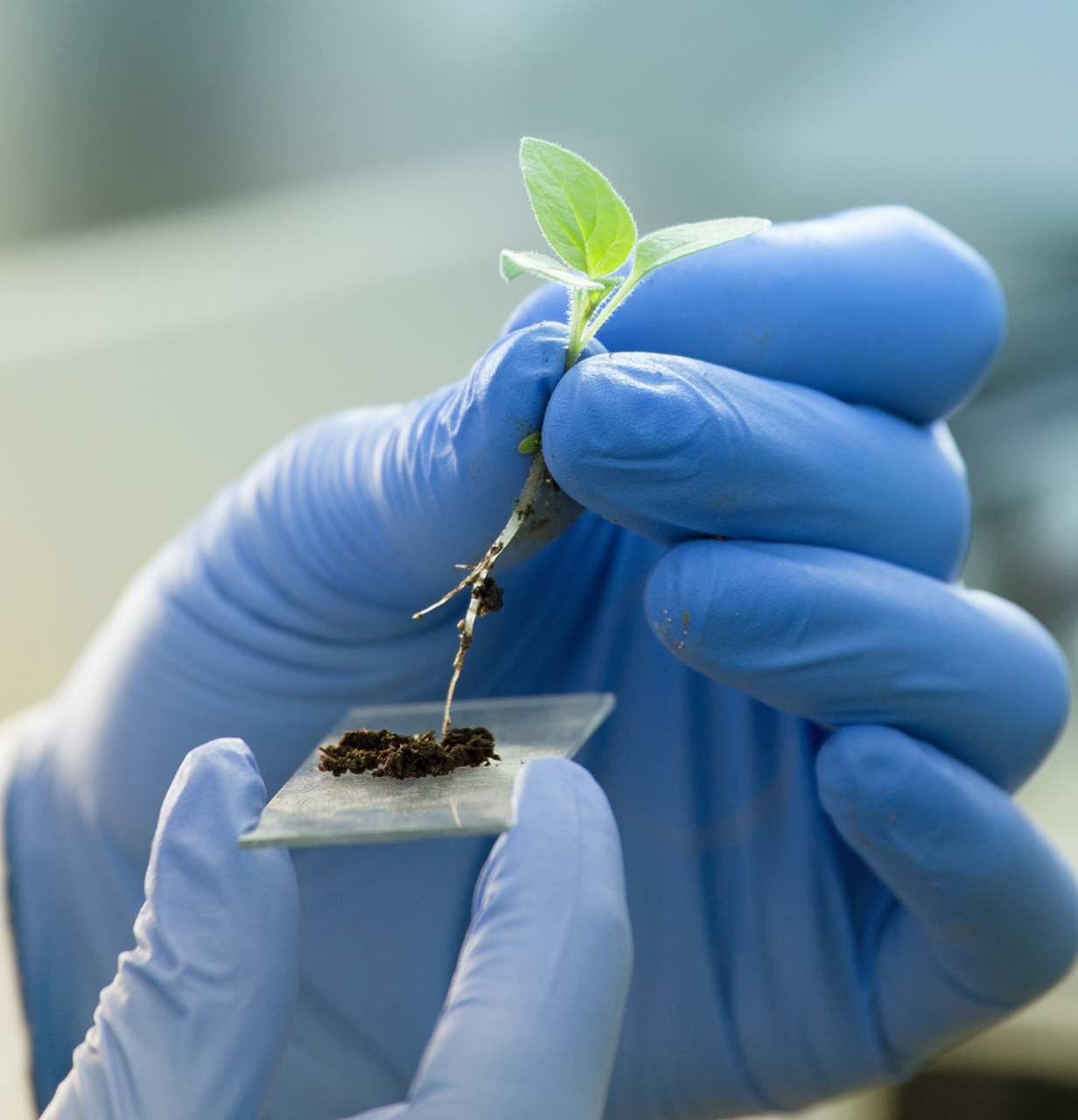 FARRAR innovation inspires