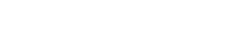 the PR Net Logo