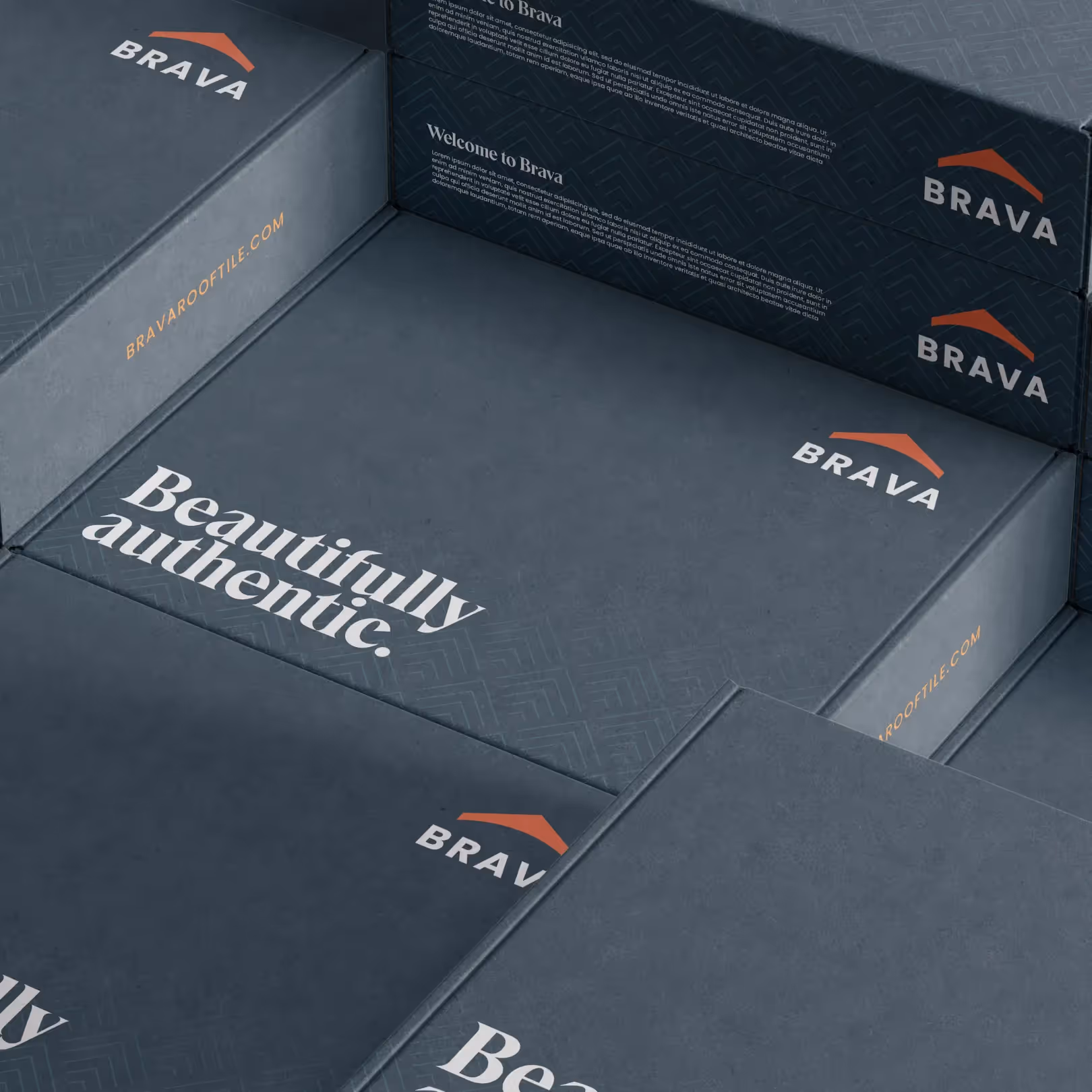 Brava product packaging mockup displaying updated branding on a square box packaging design
