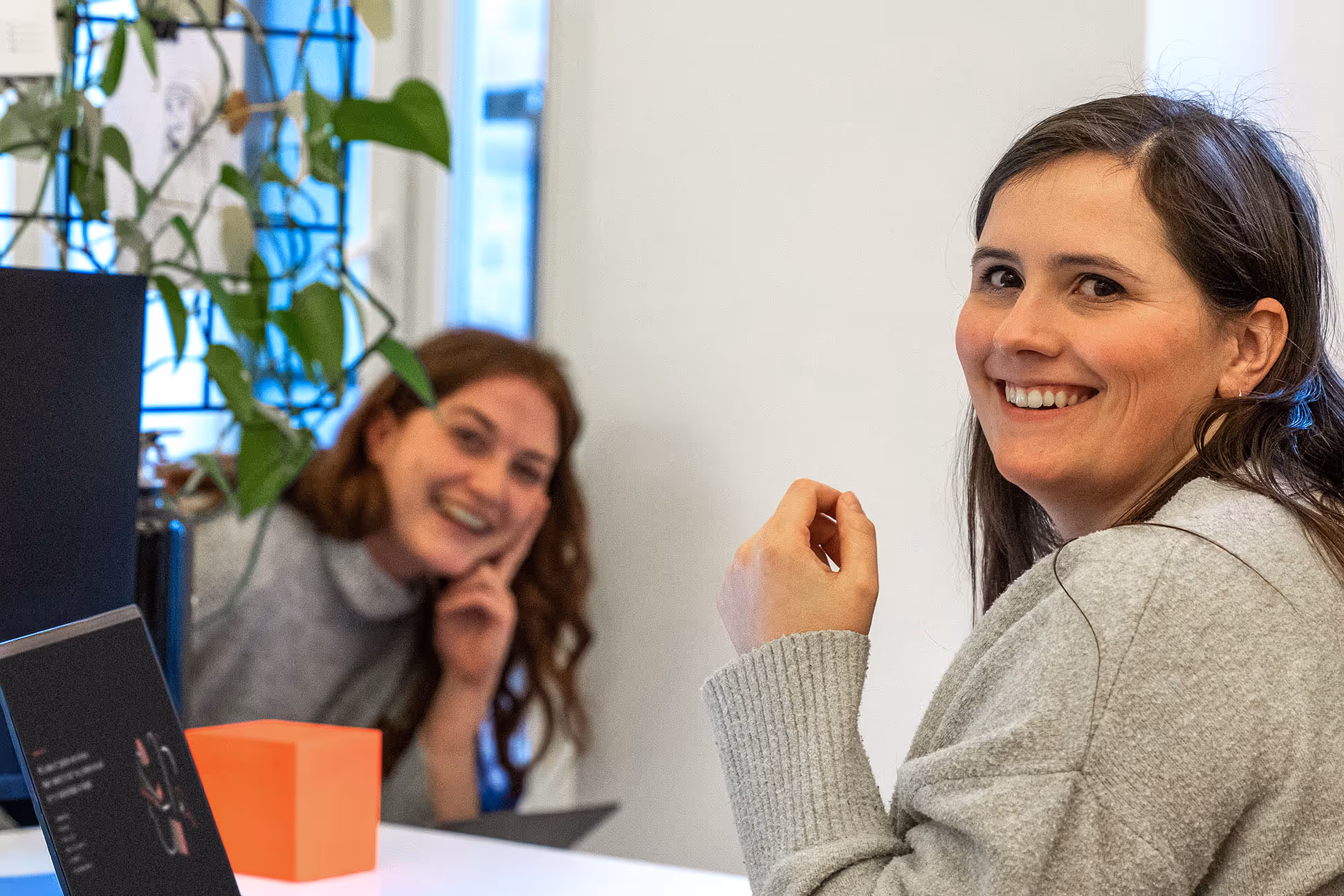 Zwei lächelnde Frauen in einem Büro, eine im Vordergrund in einem grauen Pullover, die andere im Hintergrund neben einem Laptop und einer Pflanze.