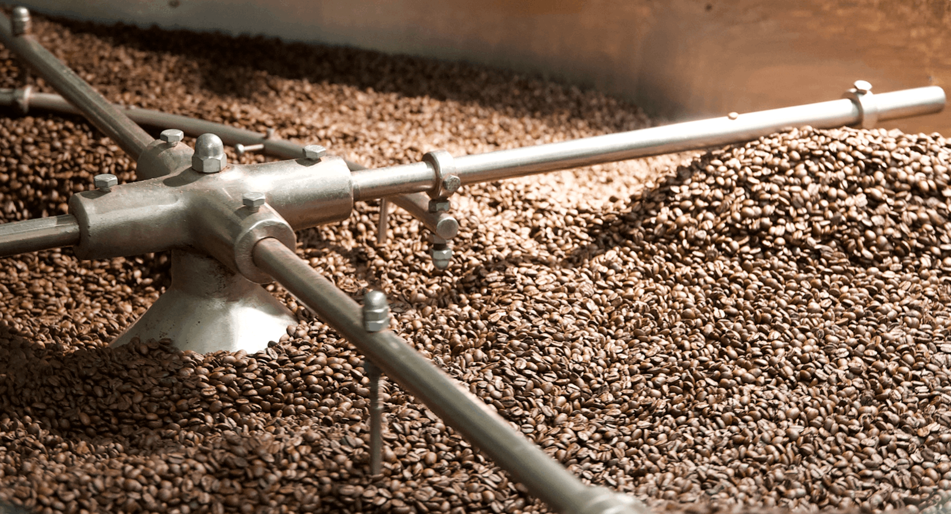 Industrielle Kaffeeröstmaschine mit frisch gerösteten Kaffeebohnen in der Rösttrommel.