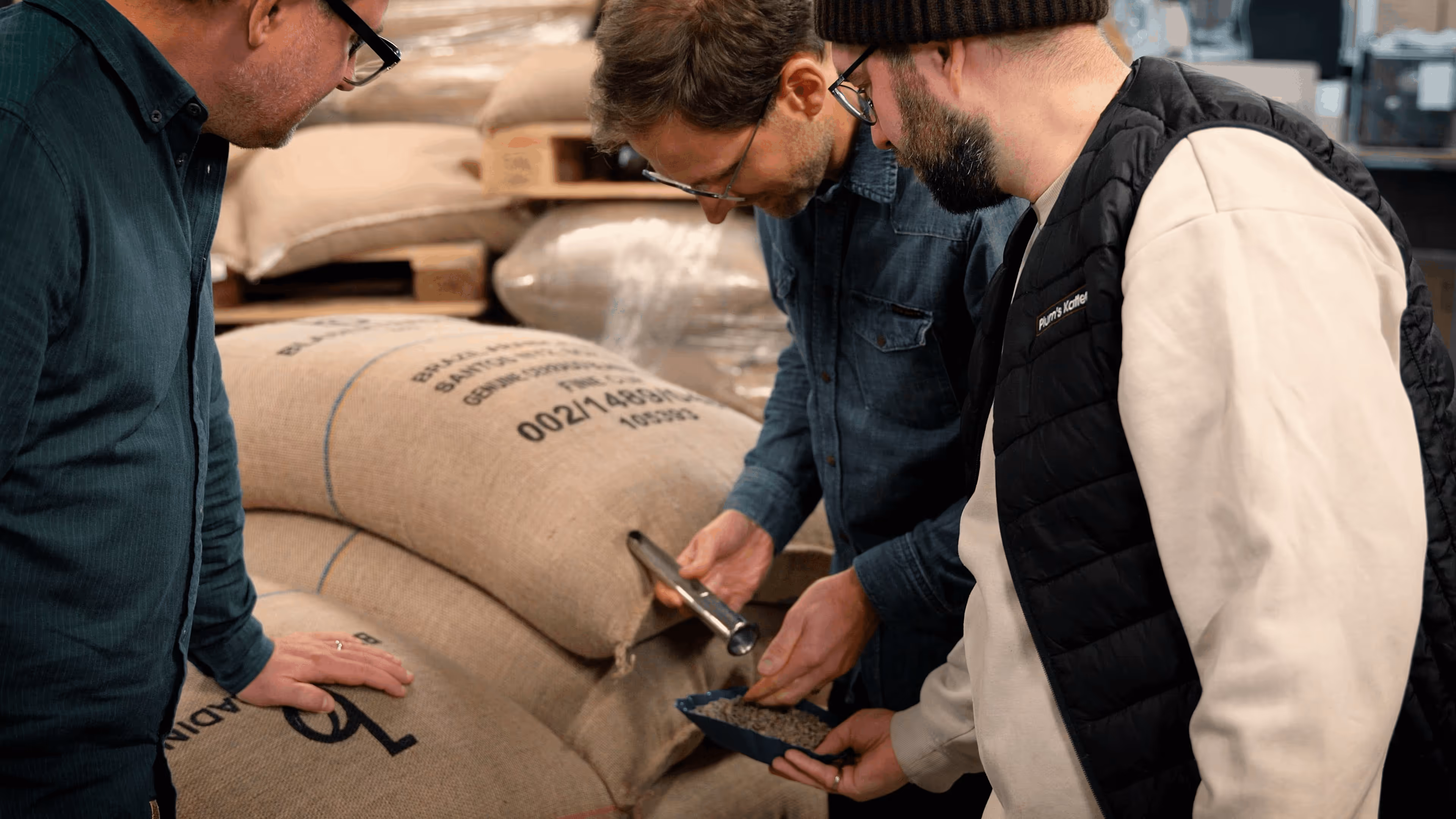 Drei Männer prüfen Kaffeebohnen, die aus großen Jutesäcken entnommen werden.