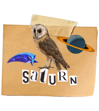 Artistic collage featuring Saturn, an owl, and cosmic zodiac elements