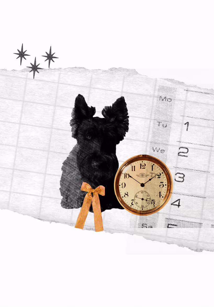Black dog with bow sits beside vintage clock on calendar with stars