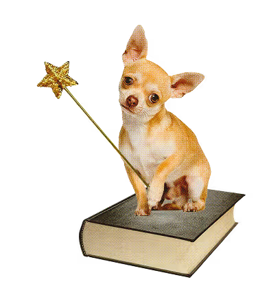 Chihuahua with golden star wand sitting on book, magical whimsical scene