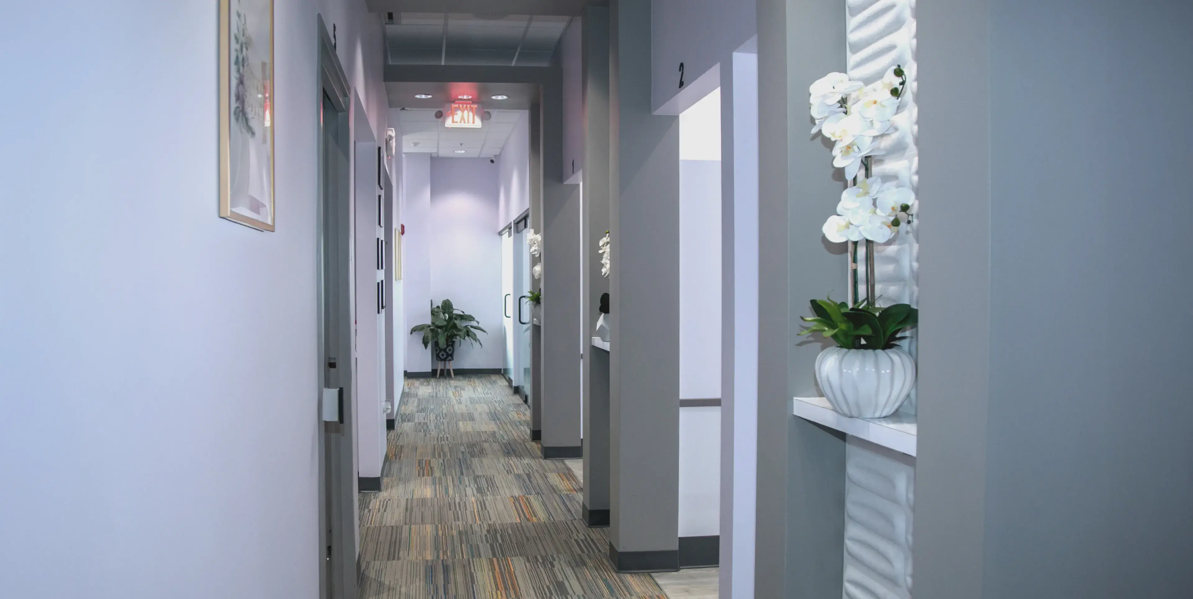 A hallway with light purple walls, carpeted floor, and potted orchids on a shelf.