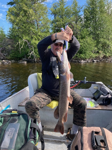 Angler in a fishing boat holds up a large northern pike by the jaw on a clear, sunny day at Pilot Lake.
