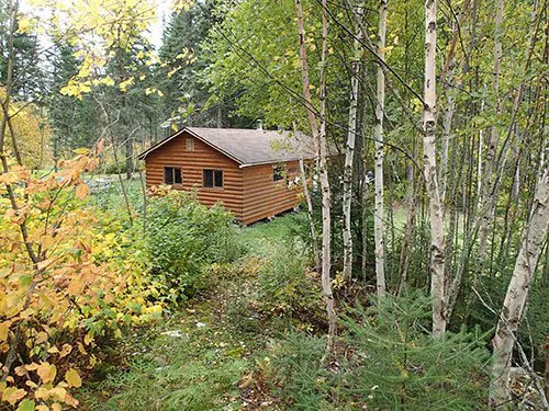 A log outpost cabin nestled among birch and pine trees in autumn foliage, Northwestern Ontario.