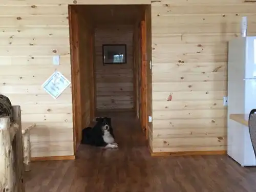 Interior of the Sup Lake outpost cabin with log-style pine walls, hardwood floors, and a black-and-white dog resting in a doorway.