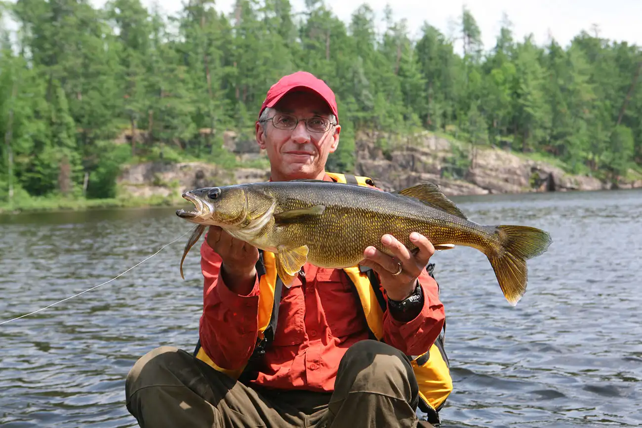Angler in red jacket and cap holds a large walleye over calm lake waters, rocky shoreline and boreal forest behind him.