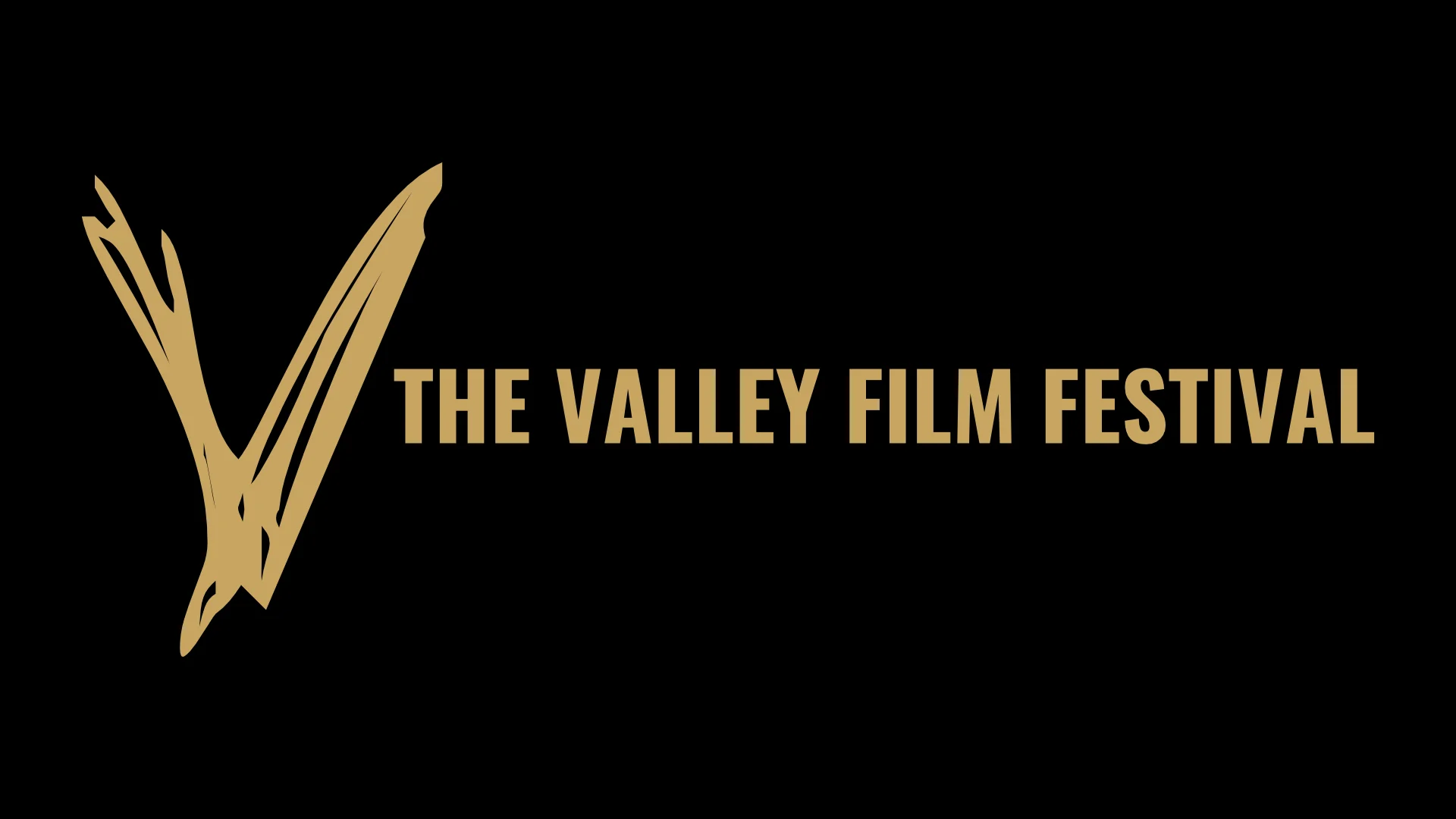 The Valley Film Festival