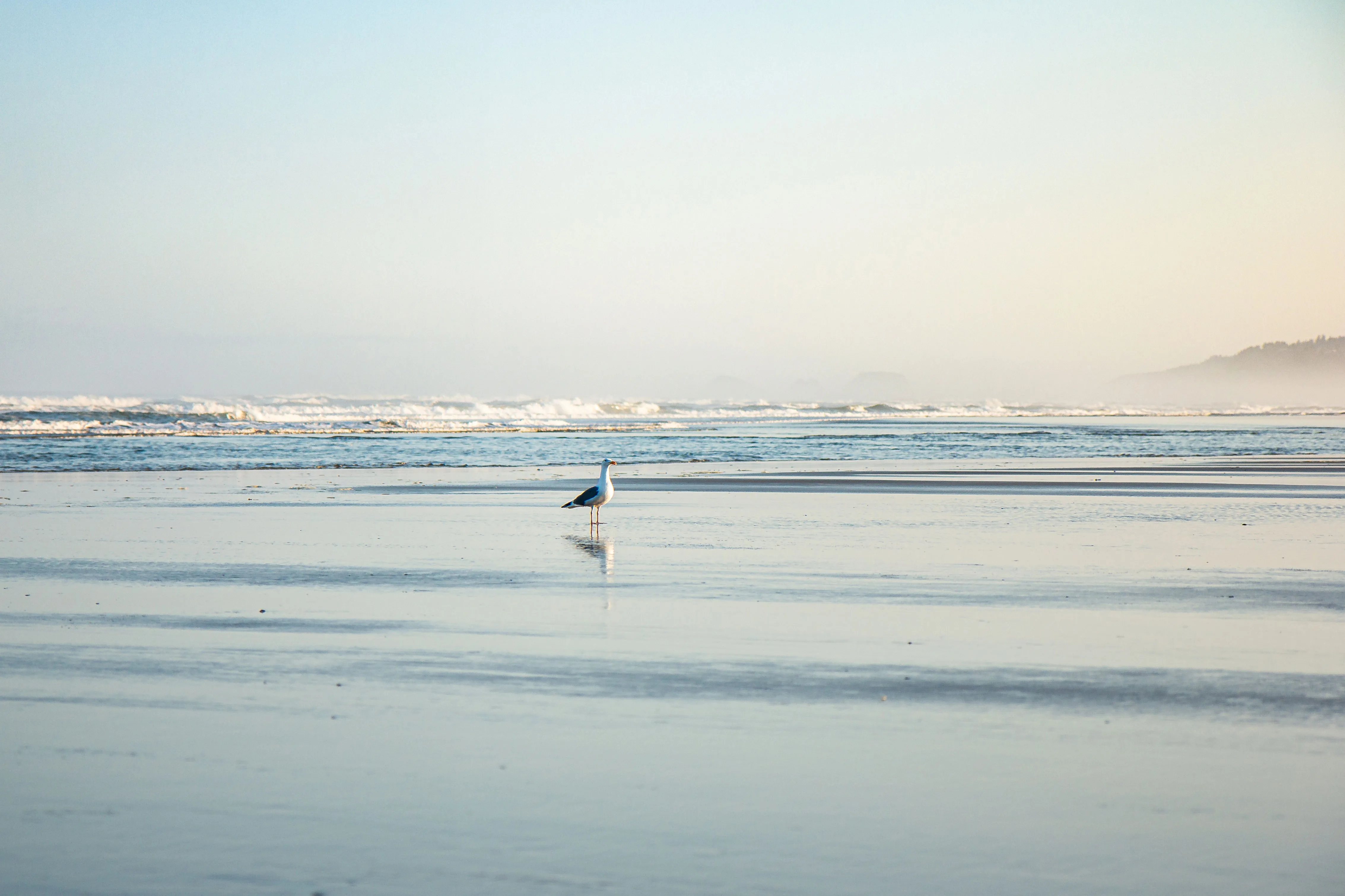 Inlumina Creative Pacific Ocean Road Trip. Oregon Coast Beach in the morning light.