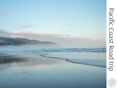 Inlumina Creative Pacific Ocean Road Trip blog post by Amy Laws.
