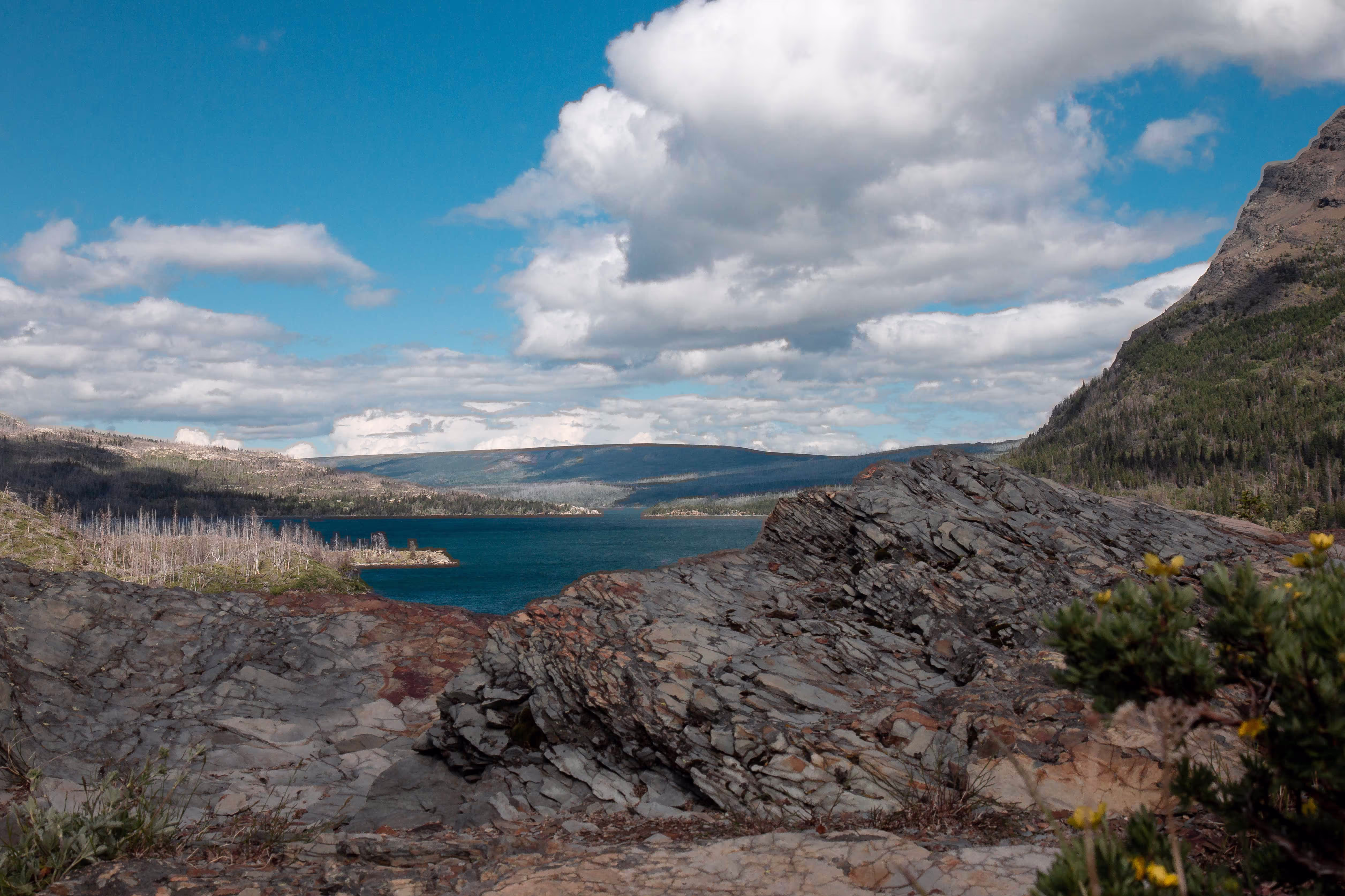 Inlumina Creative Glacier Road Trip Blog Post by Amy Laws.