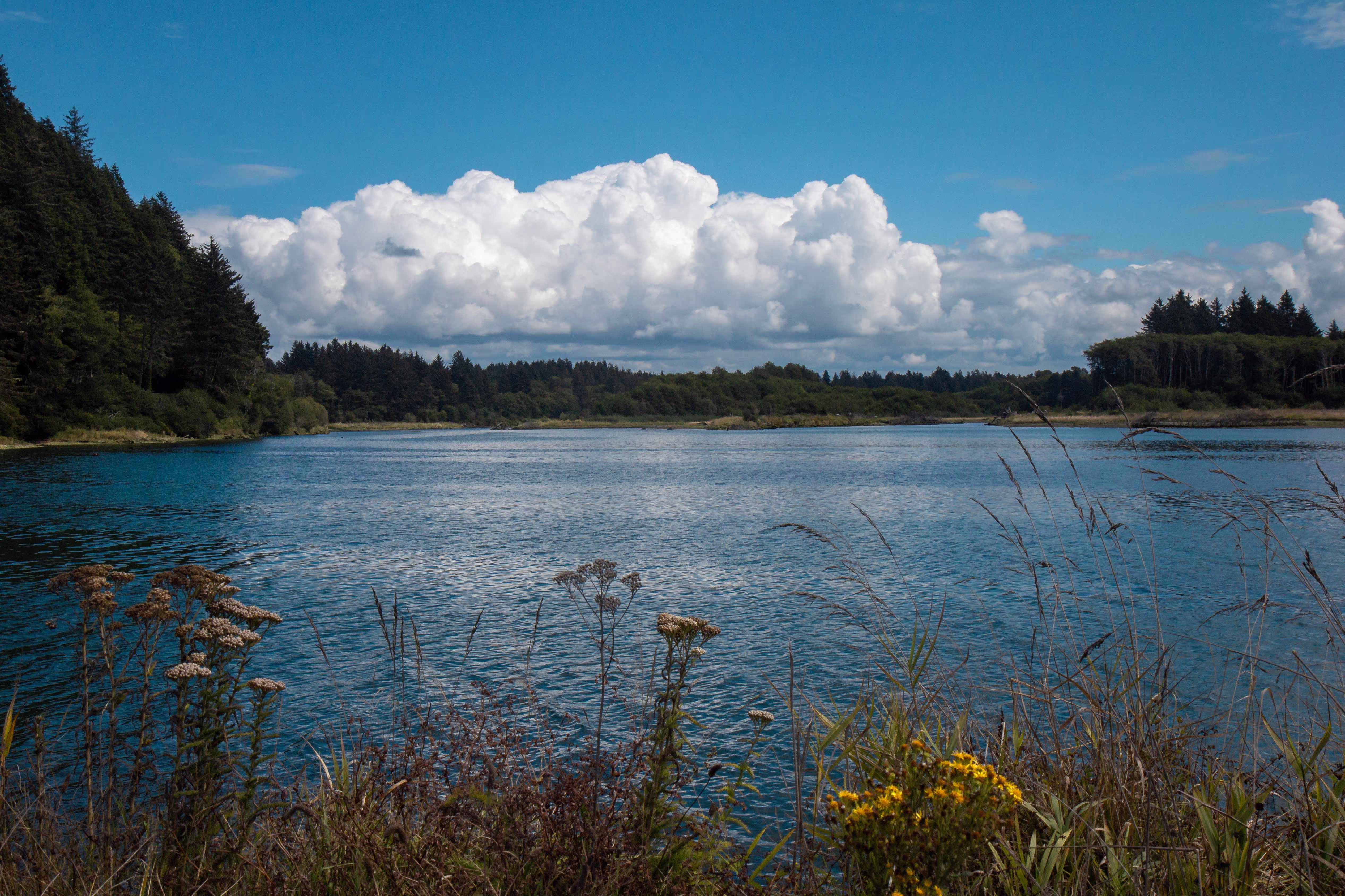 Inlumina Oregon Road Trip Blog Post by Amy Laws.