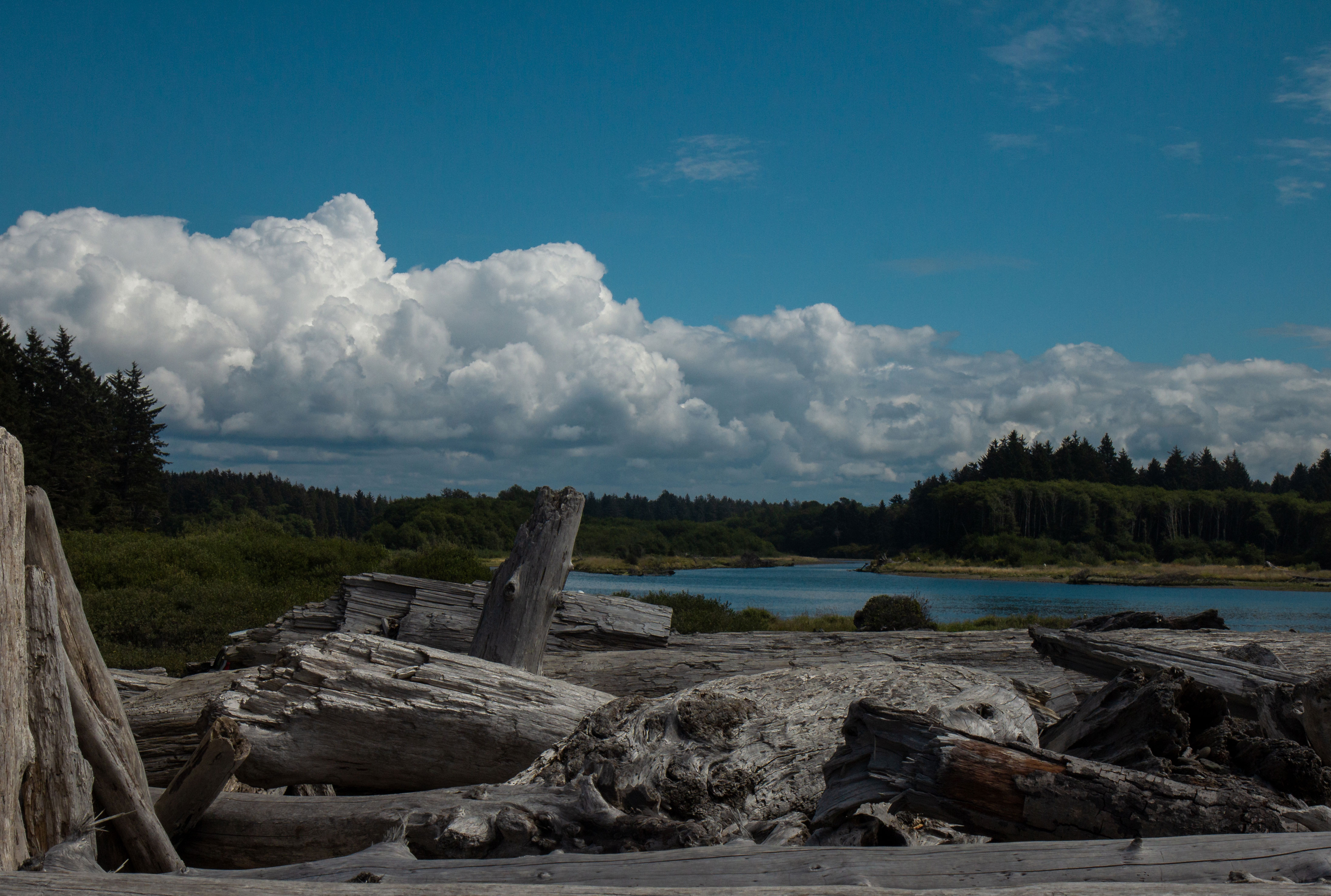 Inlumina Oregon Road Trip Blog Post by Amy Laws.