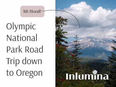 Inlumina Creative Olympic National Park to Oregon Trip Blog Post by Amy Laws.